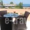 Sevach Apartments_holidays_in_Apartment_Crete_Chania_Galatas