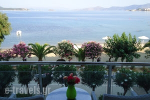 Delfini_lowest prices_in_Hotel_Central Greece_Evia_Karystos