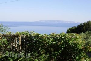 Thanasis Apartments_best deals_Apartment_Ionian Islands_Kefalonia_Kefalonia'st Areas