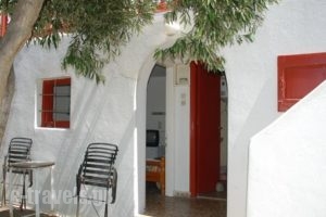 Constantina Zorz Xydakis_lowest prices_in_Hotel_Cyclades Islands_Mykonos_Mykonos ora