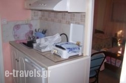 Avokanto_s __1
