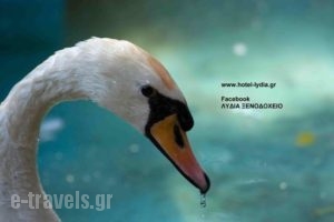 Lydia Hotel_best prices_in_Hotel_Macedonia_Drama_Doxato