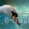 Lydia Hotel_best prices_in_Hotel_Macedonia_Drama_Doxato