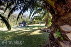 Villa Verde Fenia_lowest prices_in_Villa_Ionian Islands_Lefkada_Tsoukalades