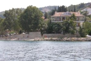 Tzeni Villa_lowest prices_in_Villa_Ionian Islands_Lefkada_Vasiliki