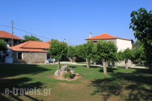 Archontiko Evio_accommodation_in_Hotel_Peloponesse_Arcadia_Leontari