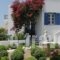 Giannis Hotel Apartments_best deals_Apartment_Cyclades Islands_Milos_Milos Chora