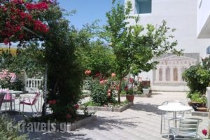 Hotel Apollon_holidays_in_Hotel_Central Greece_Aetoloakarnania_Mesologgi