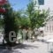 Hotel Apollon_holidays_in_Hotel_Central Greece_Aetoloakarnania_Mesologgi