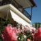 Hotel Viky_best deals_Hotel_Macedonia_Halkidiki_Toroni