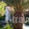 House Lena_best deals_Hotel_Macedonia_Halkidiki_Toroni