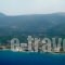 Kalypso studios and apartments_accommodation_in_Apartment_Ionian Islands_Kefalonia_Kefalonia'st Areas