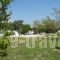 Ioanna_best deals_Room_Aegean Islands_Samos_MarathoKambos