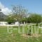 Ioanna_best prices_in_Room_Aegean Islands_Samos_MarathoKambos
