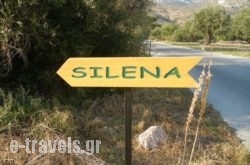 Silena_s __1