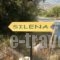 Silena_accommodation_in_Apartment_Aegean Islands_Samos_Kambos