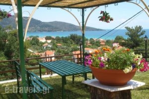 Panagiota Apartments_best deals_Apartment_Aegean Islands_Thassos_Thassos Chora