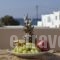 Iades Studios & Apartments_lowest prices_in_Apartment_Cyclades Islands_Paros_Paros Chora