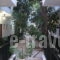 Filorian_best deals_Apartment_Ionian Islands_Corfu_Acharavi