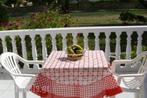 Babis Studios_accommodation_in_Hotel_Ionian Islands_Zakinthos_Laganas