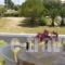 Babis Studios_lowest prices_in_Hotel_Ionian Islands_Zakinthos_Laganas