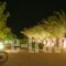 Asteras Resort_best prices_in_Hotel_Dodekanessos Islands_Kos_Kos Rest Areas