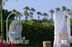 Sunvillage Malia Boutique_s __1