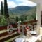 Medusa lux apartments_holidays_in_Apartment_Ionian Islands_Corfu_Corfu Rest Areas