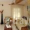 Hotel Villa Plaza_holidays_in_Villa_Piraeus islands - Trizonia_Spetses_Spetses Chora