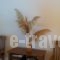 Angelika Apartotel_best prices_in_Hotel_Crete_Lasithi_Milatos