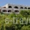 Hotel Abatis_best prices_in_Hotel_PiraeusIslands - Trizonia_Agistri_Agistri Rest Areas