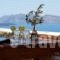 Villa Galinia_accommodation_in_Villa_Cyclades Islands_Sandorini_Sandorini Chora