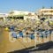 Chrisanthi Apartments_best prices_in_Apartment_Crete_Heraklion_Heraklion City