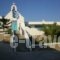 Rinoula's_holidays_in_Room_Thessaly_Magnesia_Mouresi