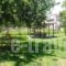 Katerina Apartments_lowest prices_in_Apartment_Thessaly_Magnesia_Pilio Area