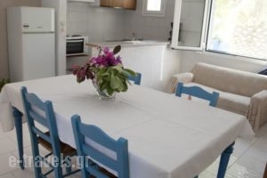Achlia Apartments and Villas_holidays_in_Villa_Crete_Lasithi_Anatoli