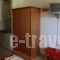 Villa Makis_lowest prices_in_Villa_Ionian Islands_Lefkada_Vasiliki
