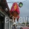 Aris_holidays_in_Apartment_Macedonia_Pieria_Paralia Katerinis