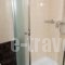 Zeus Hotel_best deals_Hotel_Dodekanessos Islands_Kos_Kos Rest Areas