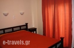 Dionyssos_s __1