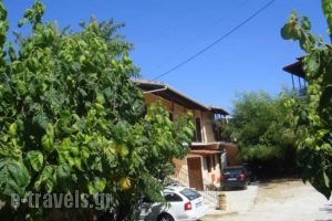 Fanis_lowest prices_in_Room_Ionian Islands_Lefkada_Nikiana