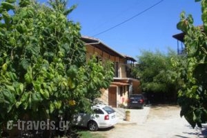 Fanis_travel_packages_in_Ionian Islands_Lefkada_Nikiana