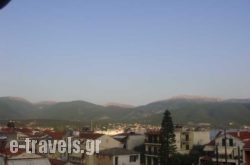 Pericles_s __1