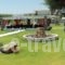 Al Mare Apartments_accommodation_in_Apartment_Dodekanessos Islands_Rhodes_Lindos