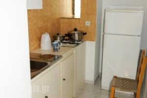 Maria Studios_best prices_in_Hotel_Ionian Islands_Zakinthos_Zakinthos Rest Areas