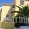 Apollo Studios_lowest prices_in_Room_Ionian Islands_Zakinthos_Zakinthos Rest Areas