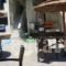 Cactus_travel_packages_in_Ionian Islands_Zakinthos_Laganas
