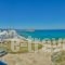 Adriani Studios_travel_packages_in_Cyclades Islands_Naxos_Naxos chora