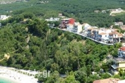 Palatino Hotel_s __1
