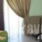 Panagiotis Hotel_accommodation_in_Hotel_Aegean Islands_Thasos_Thasos Chora